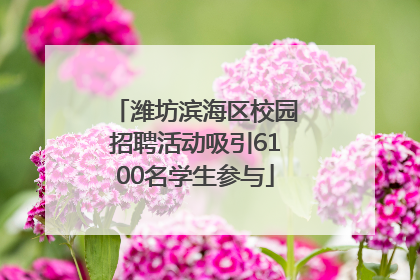 潍坊滨海区校园招聘活动吸引6100名学生参与
